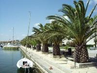 Palmenkai am Hafen